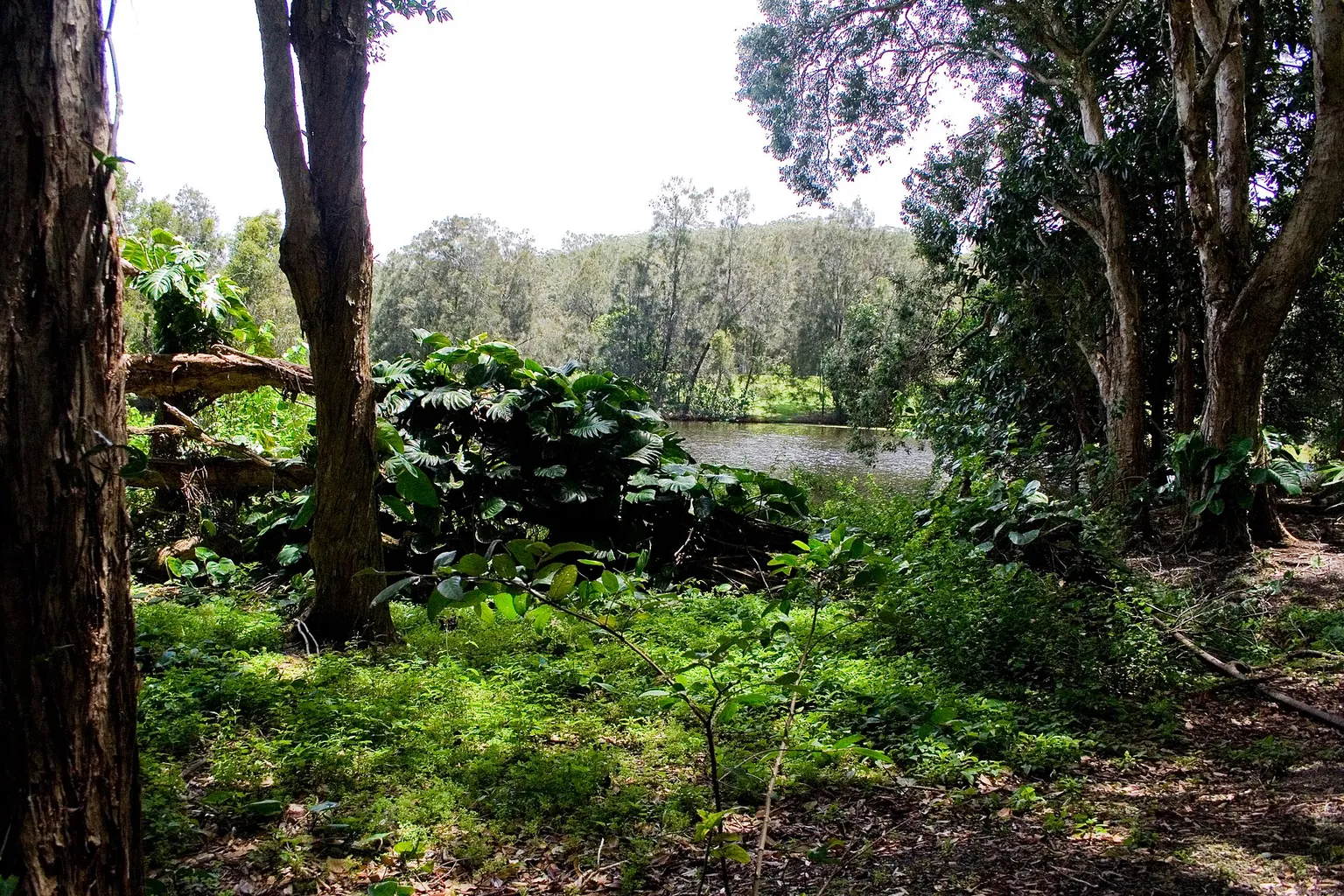 Currumbin Wildlife Sanctuary : quelle formule réserver ?