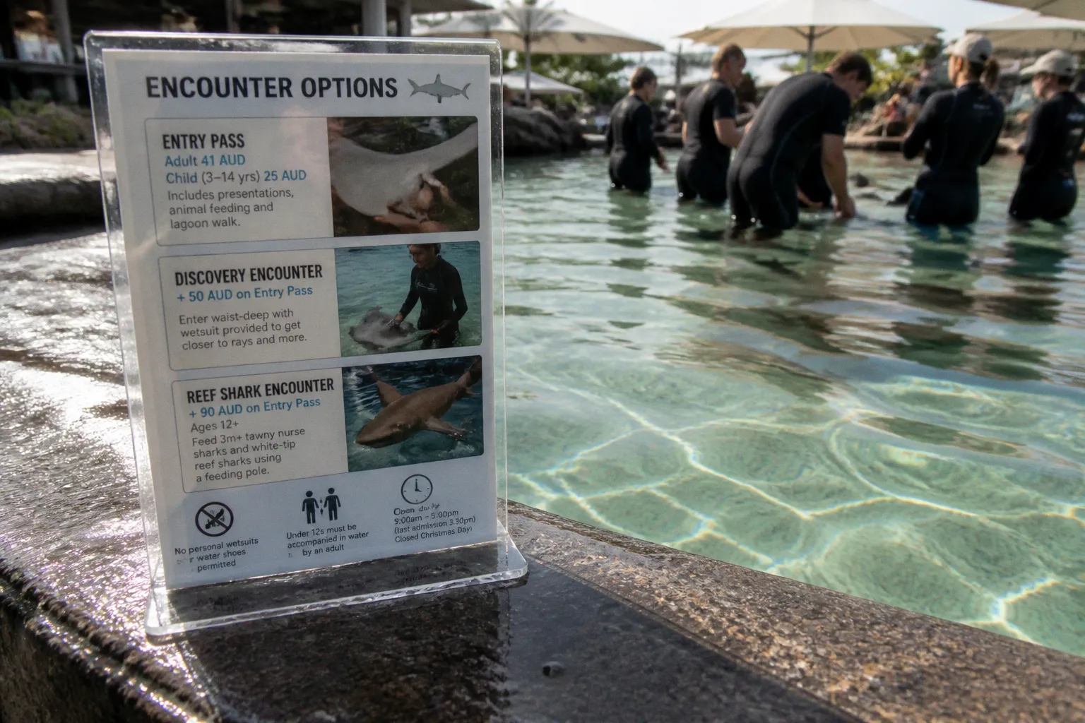 Irukandji Shark & Ray Encounters : quelle formule choisir ?