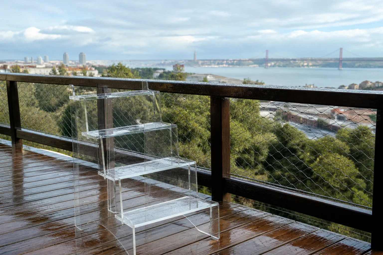 Observation de la faune à Lisbonne : 3 tarifs selon vos envies