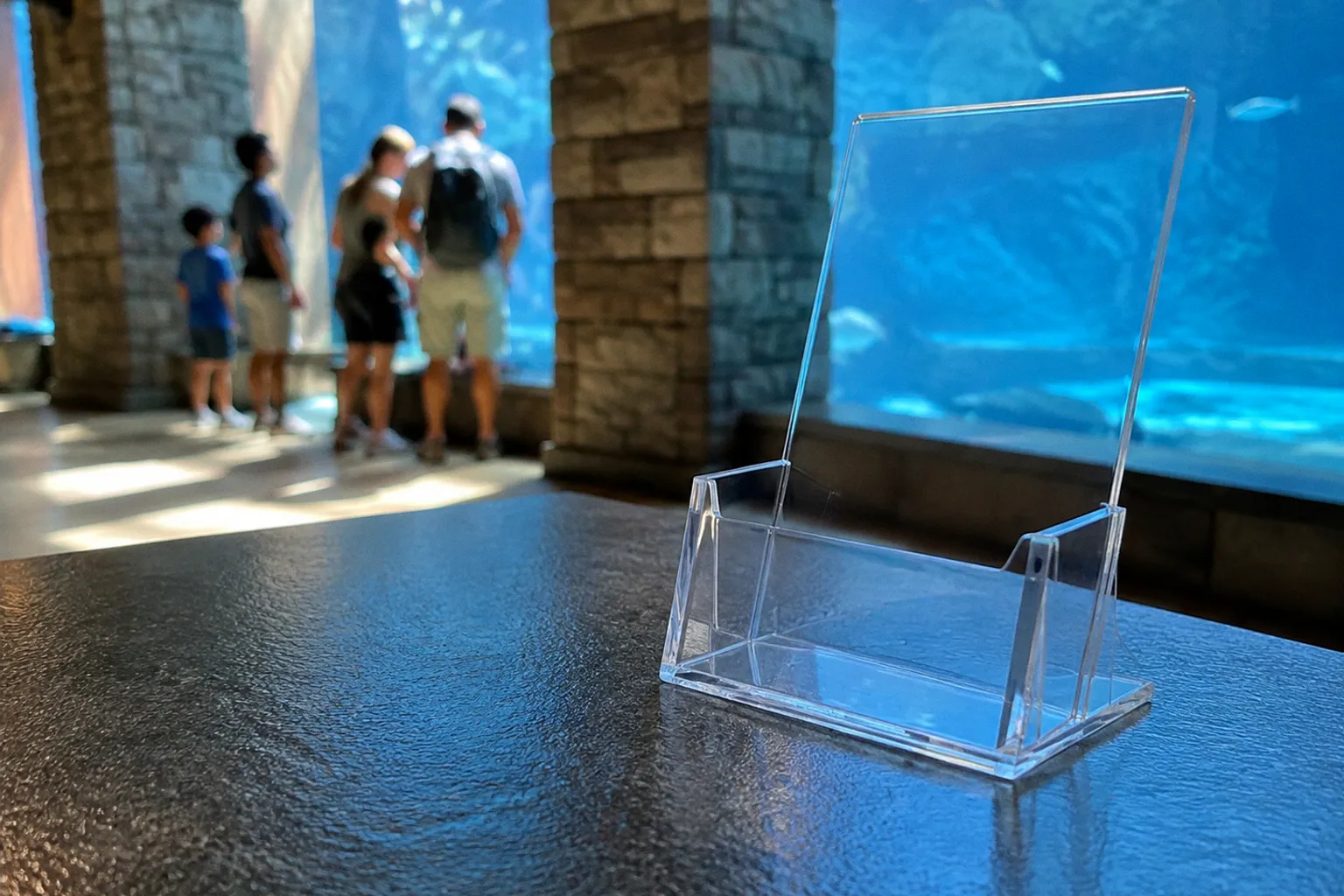 Ripley's Aquarium of the Smokies billets : 4 offres clés