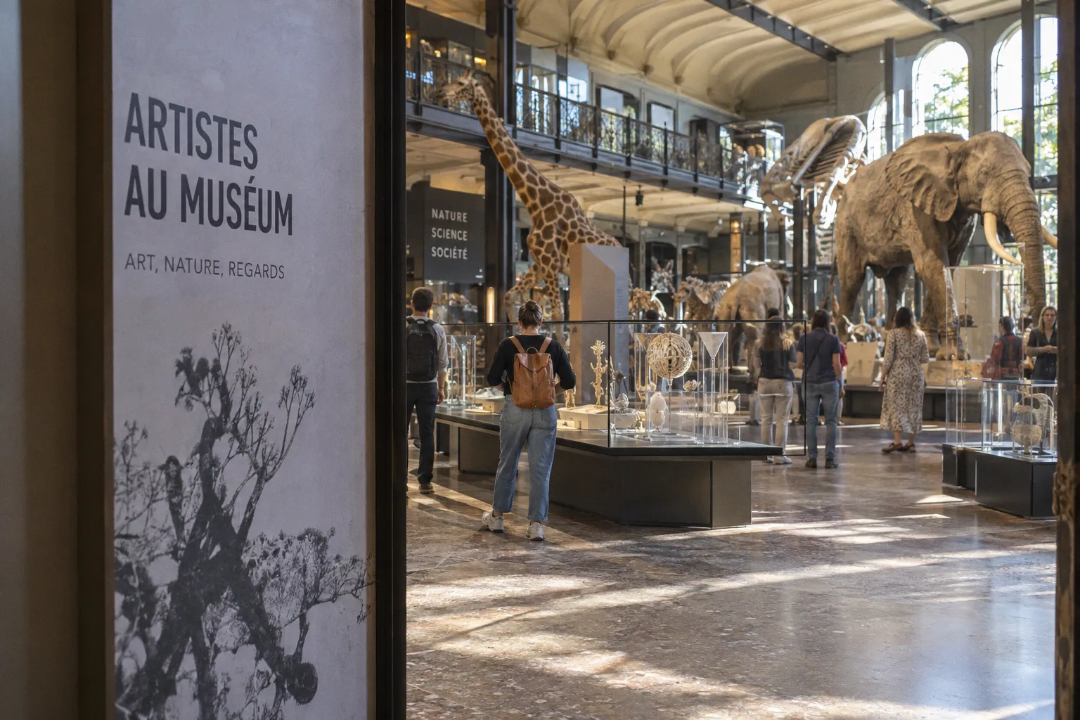 Scénographie muséale : les secrets de présentation de l'exposition Artistes au Muséum