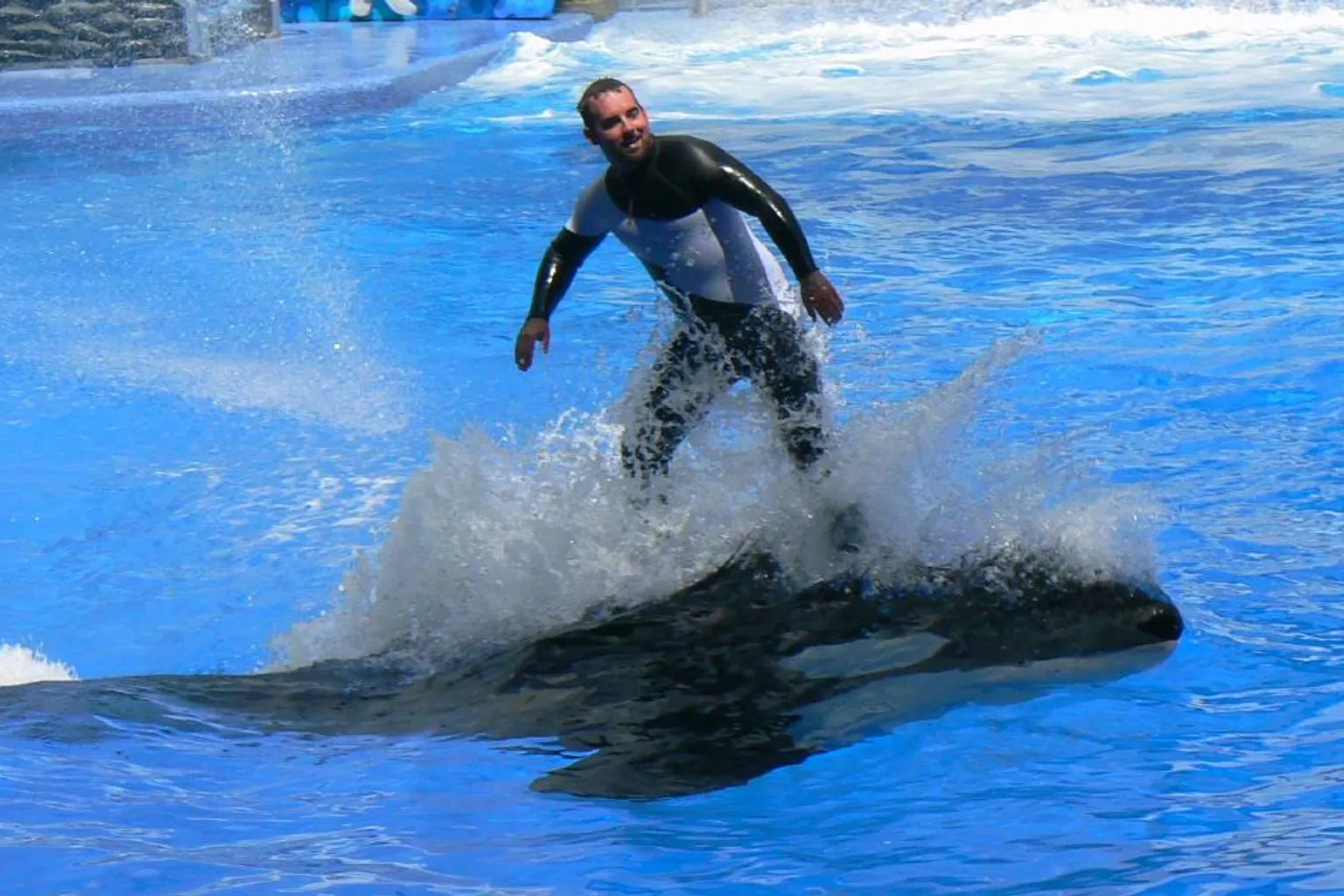 SeaWorld Orlando : trois formules pour une visite optimisée