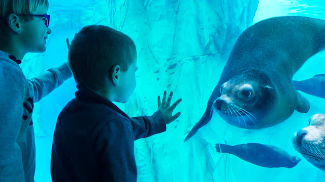 Gardaland SEA LIFE Aquarium