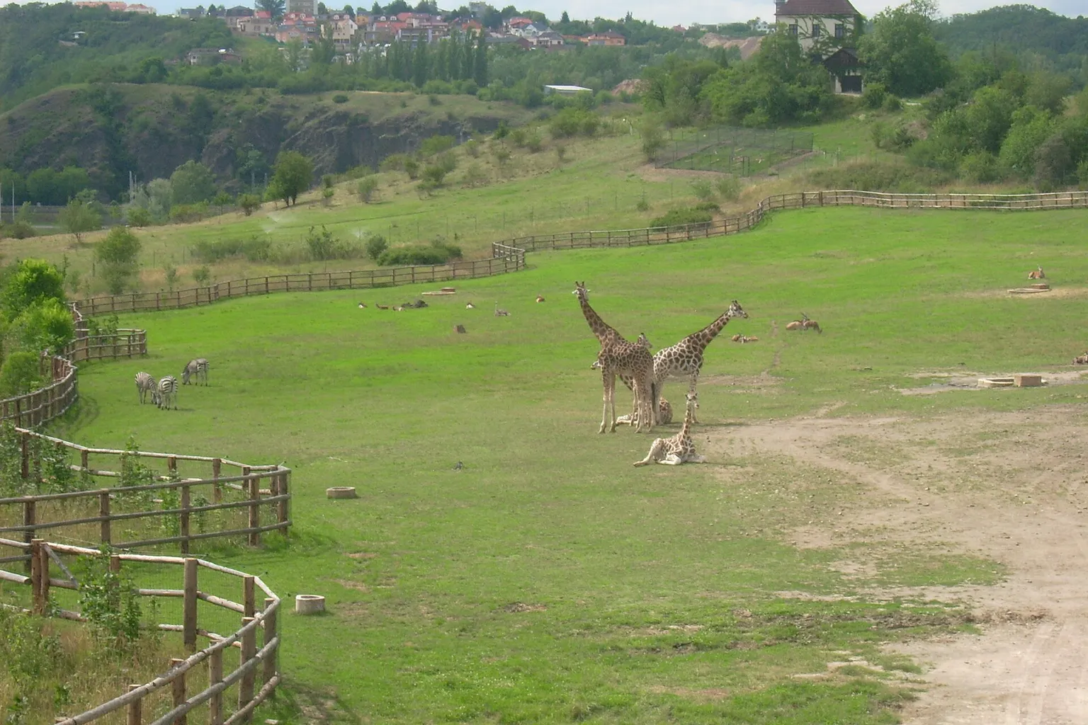 Zoo de Prague tarifs : quelle option vaut le coup ?
